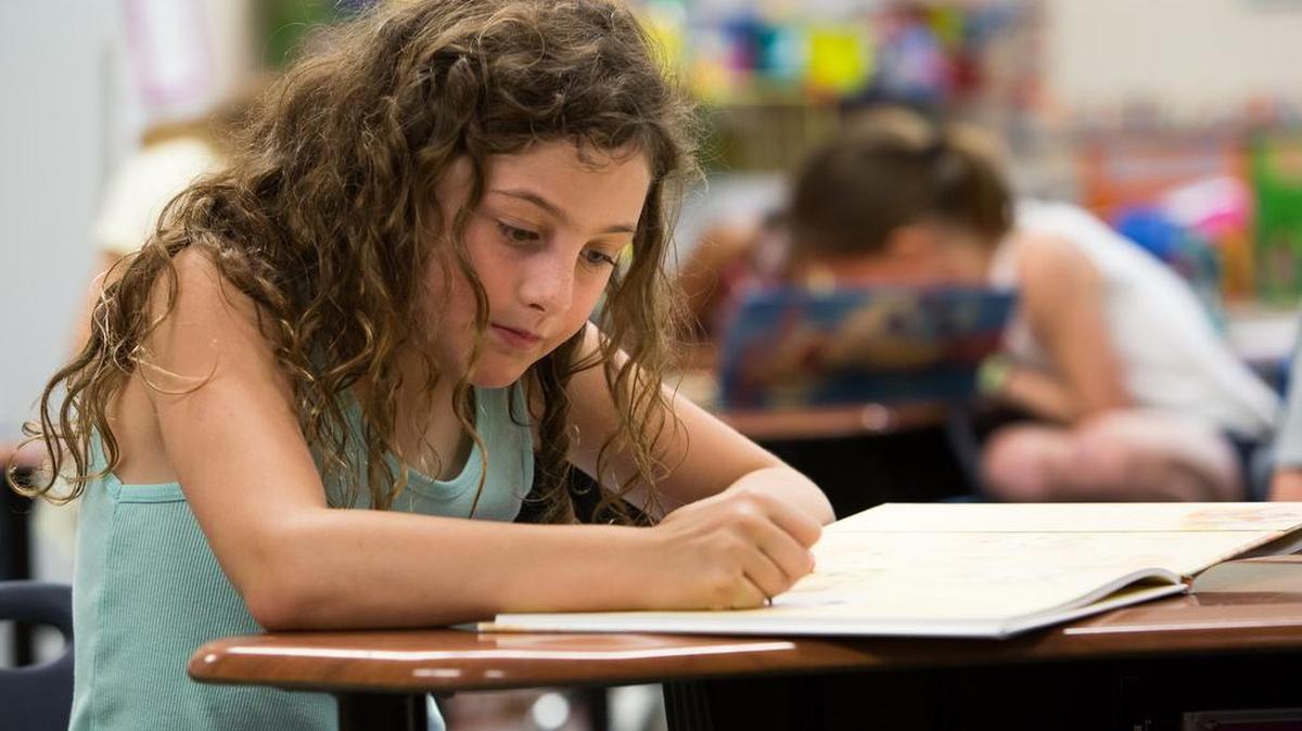 The Fort Mill school district and the South Carolina Public Charter School District, of which York Preparatory Academy and Riverwalk Academy in Rock Hill are a part of, made the 2018 AP District Honor Roll.