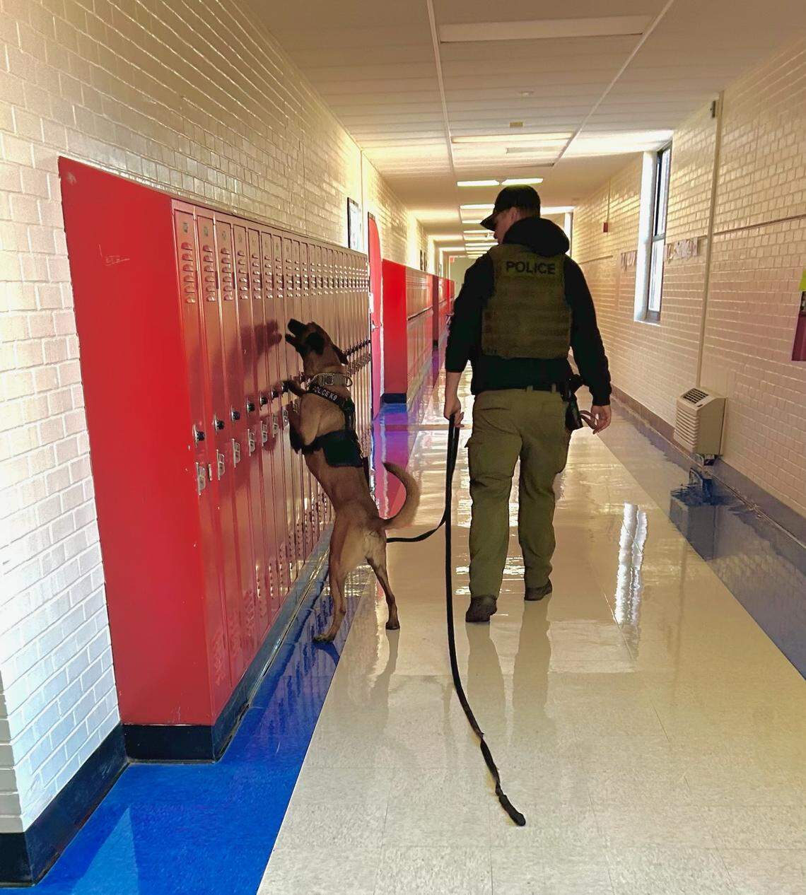 A K-9 units inspects lockers in the Rock Hill School District. It’s one of several enhanced security measures the district uses to keep weapons out of schools.