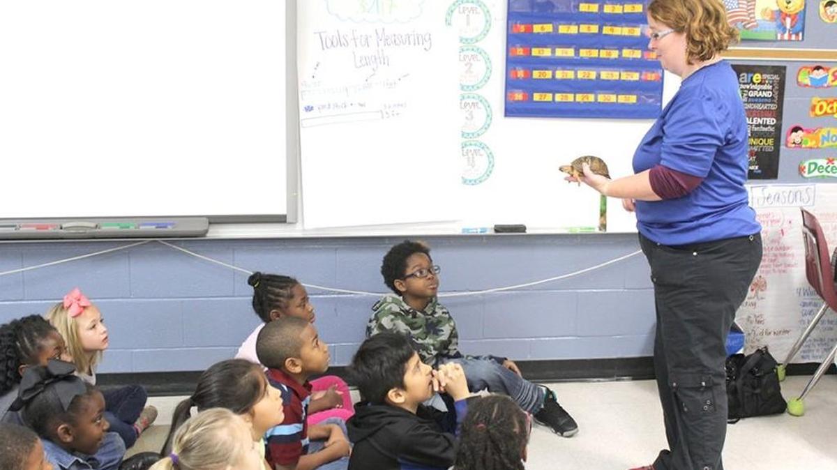 In this file photo, Brooklyn Springs Elementary School second grade teacher Zaikia Cancel shows her students Miller, a box turtle from the Anne Springs Close Greenway. A new elementary school is coming to the Indian Land area of Lancaster County.