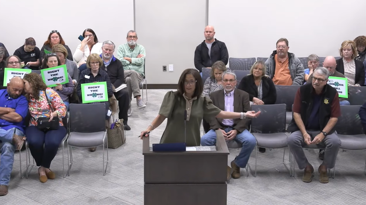 Sheila Quinn, superintendent of the Clover School District, speaks to York County Council on Monday night in favor of higher school impact fees.