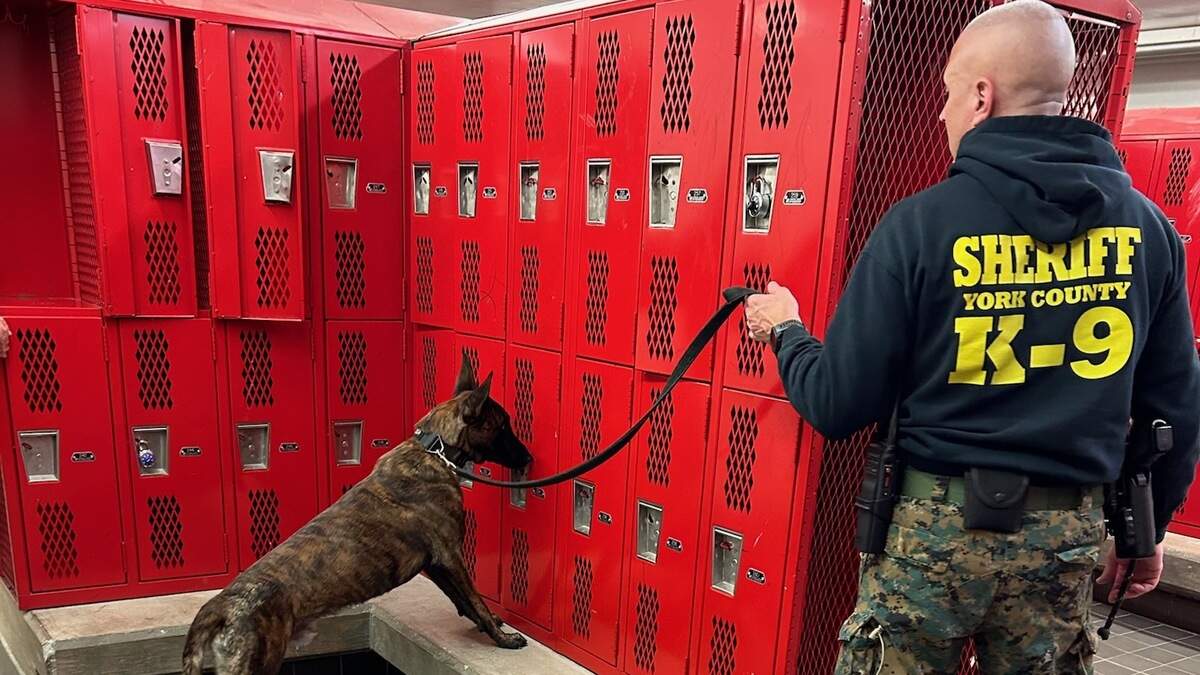 A York County Sheriff’s Office K-9 team performs a random safety screening in a Rock Hill School District facility. Enhanced safety screenings are the reason why weapon incident reports are higher in Rock Hill than in other areas, district officials say.