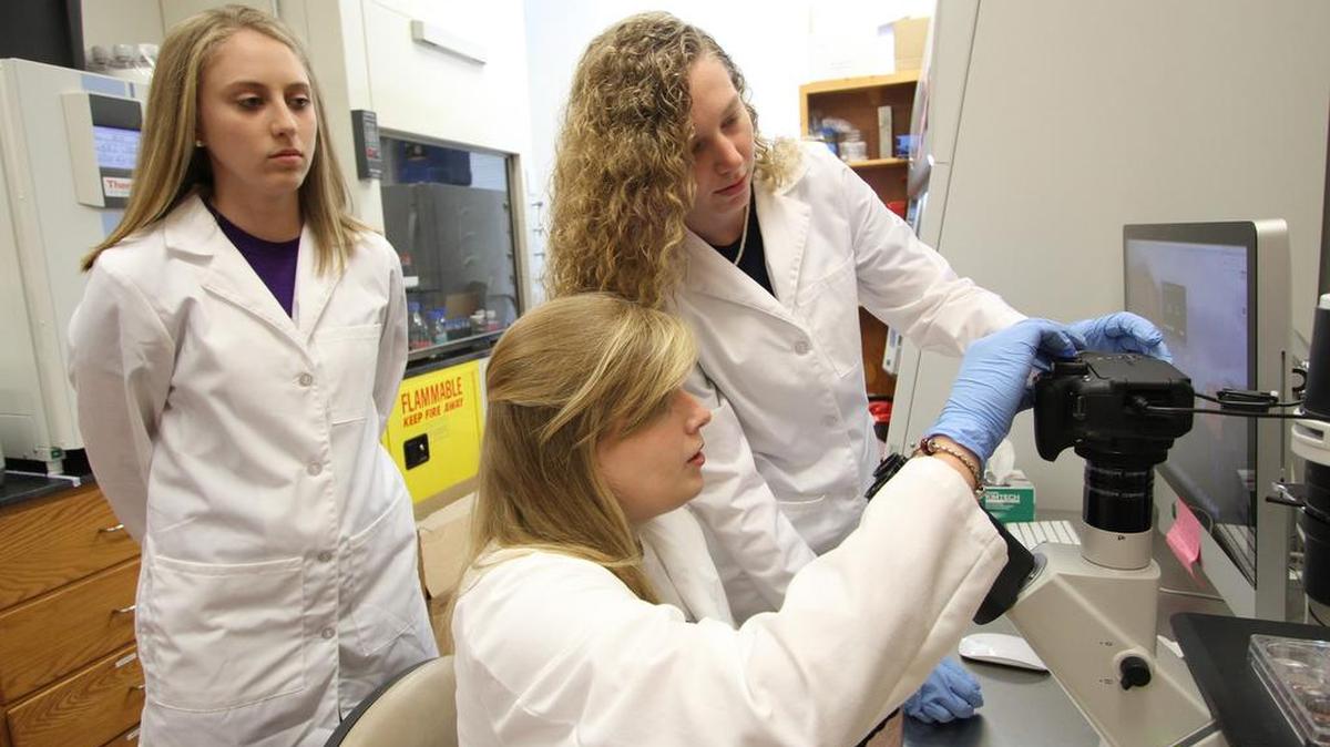 Kristin Ramirez, 21, left, from Waxhaw, N.C., Kathryn Steverson, 22, from Summerville, and Lauren Green, 21, from Myrtle Beach work with a microscope in a biology lab at Winthrop University on Thursday. All three students studied biology at Winthrop and are planning to attend graduate school.