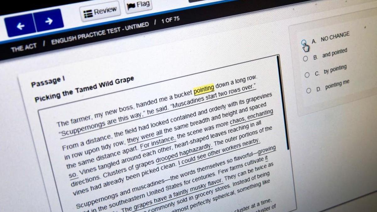 Some South Carolina juniors who took the ACT test online in 2016-17 experienced delays and other technical problems that may have affected their scores. In this May 6, 2015 file photo, a computer-based practice ACT English test is displayed on a computer monitor in Washington.