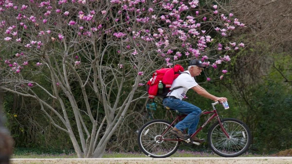 A man bicycles past a magnolia tree Wednesday near Glencairn Garden in Rock Hill.