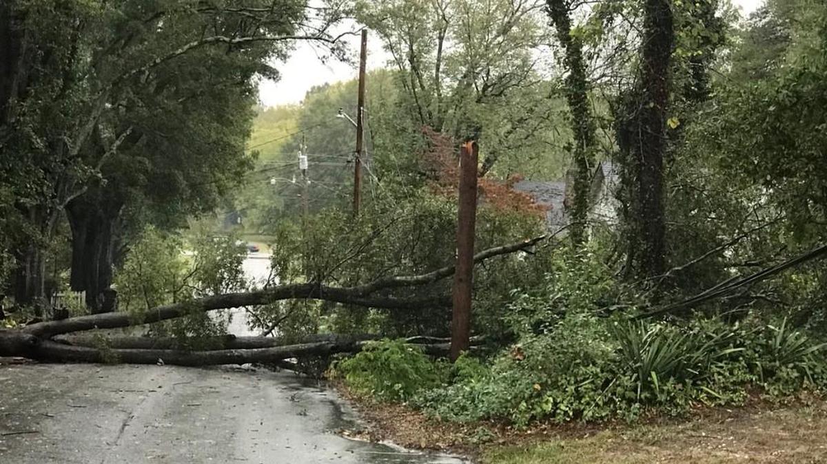 A tree knocked down Monday afternoon on Oates Street in Rock Hill by a storm that pushed through the area.
