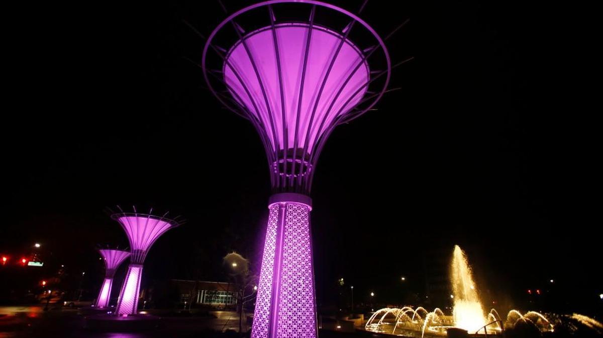 
Fountain Park in Rock Hill is lit up pink Friday night in honor of Breast Cancer Awareness month, an annual campaign that aims to increase knowledge and awareness of the disease.

