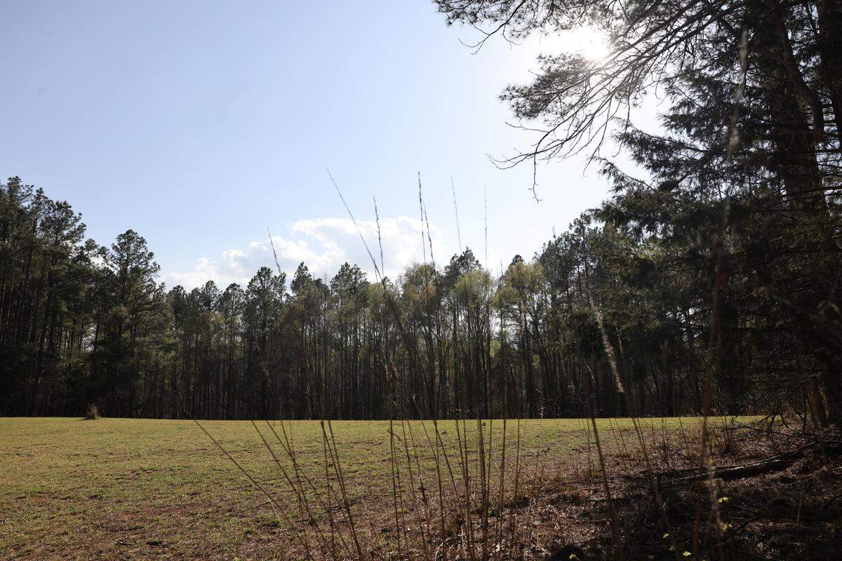 The Catawba Bend Preserve has picturesque fields located near the Catawba River. Open meadows are easily accessible off the main drive into the new York County park.