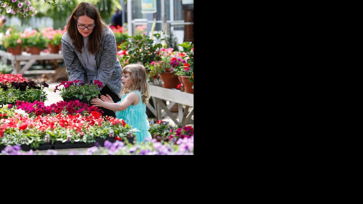 
Rachel Wendt and her daughter Isla pick out a flat of flowers as Easter Sunday brings customers to Wilson’s Nursery in Rock Hill.

