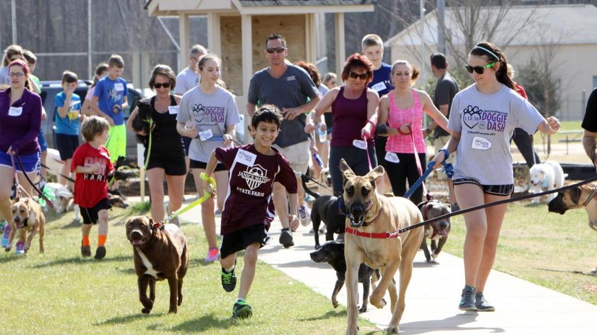 Puppies and dogs, big and small, along with their humans, sprint to the finish line at Saturday's Doggie Dash at Walnut Creek Park in Indian Land. Nearly 50 dogs raced to raise money for the Lancaster County SPCA.