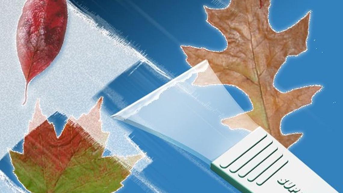 A frosty Tuesday morning in York County + Home heating safety tips