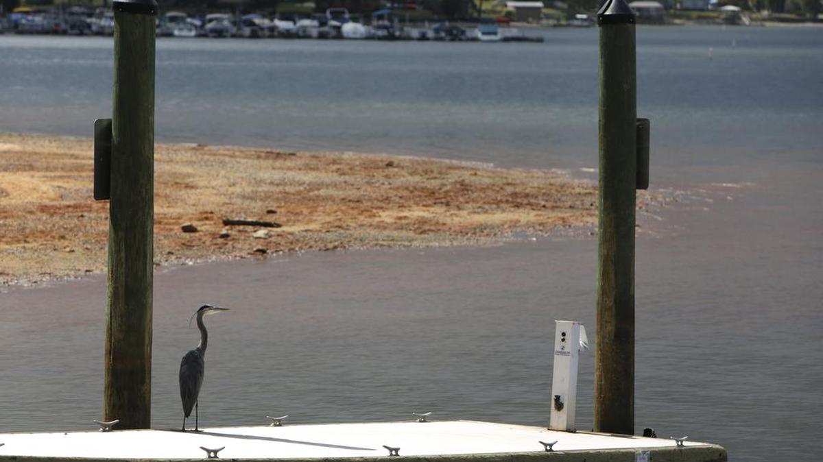 The boat ramp at Ebenezer Park on Lake Wylie will be the site of Marine Corps training overnight sometime between March 13-15 in Rock Hill.