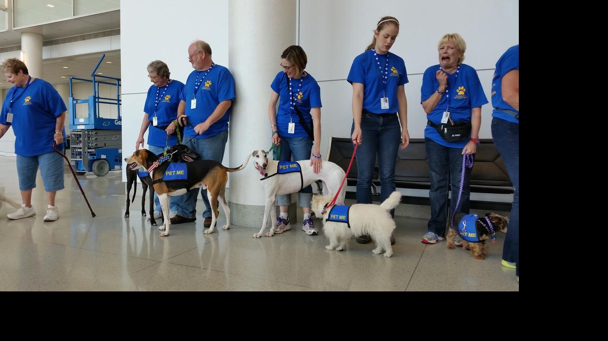 
Volunteers line up with dogs at Charlotte Douglas International Airport, part of a plan to help travelers de-stress by offering the chance to pet certified therapy dogs.

