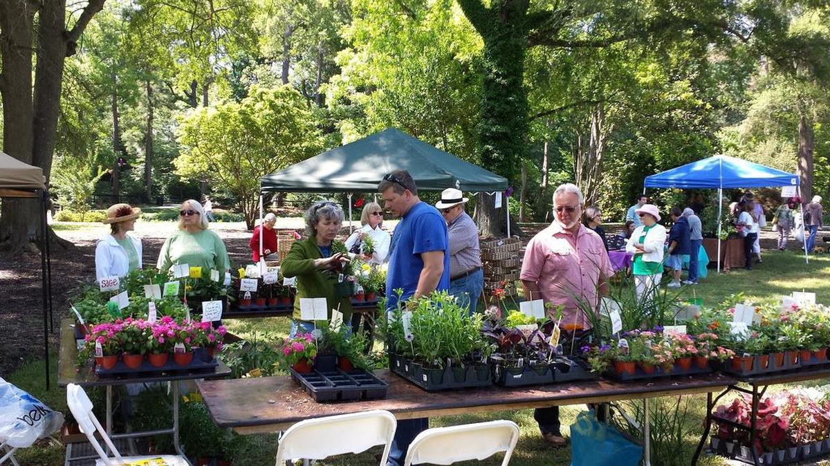BloomFest cancelled Saturday at Glencairn Garden in Rock Hill.