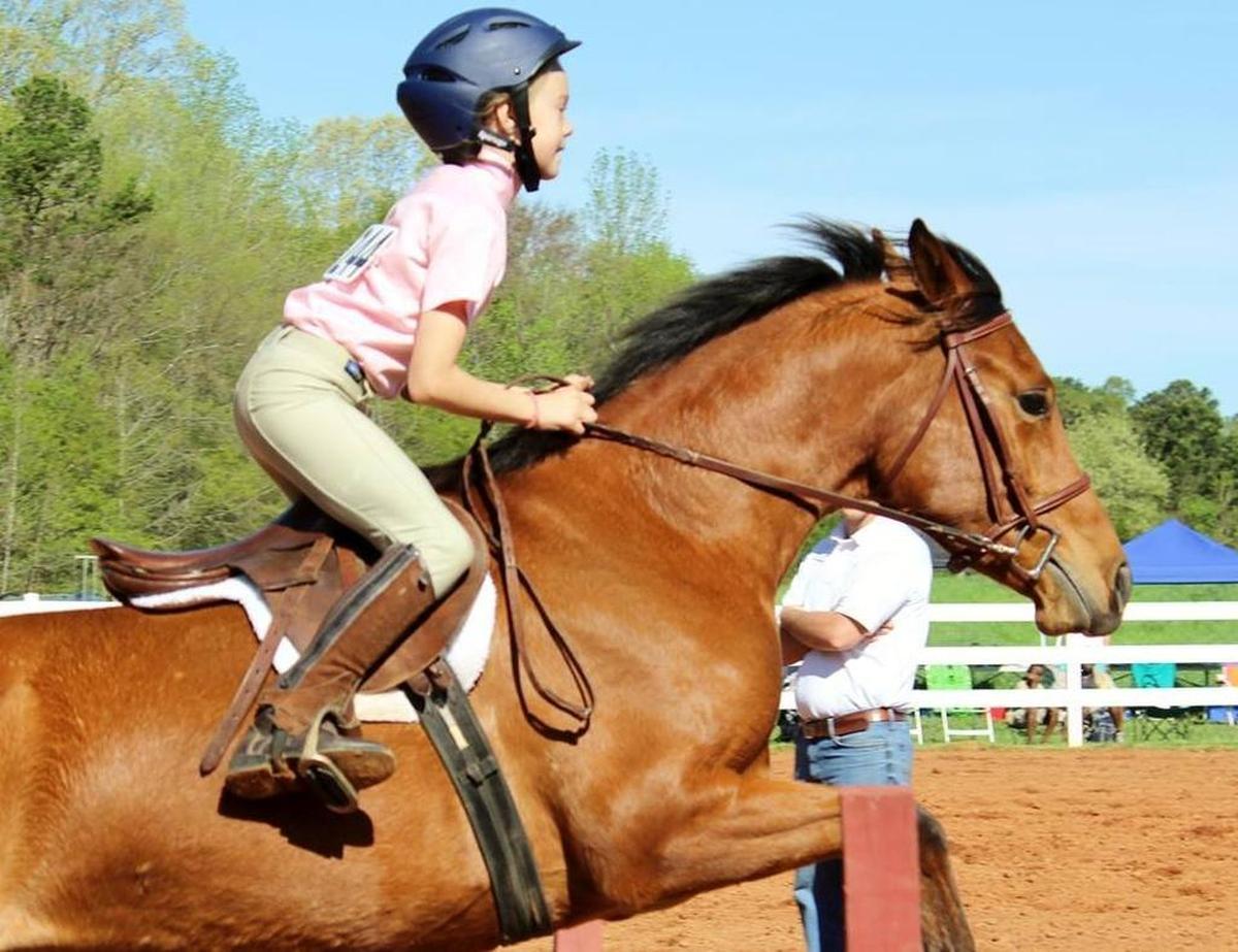 Equestrian Day Camp is offered at the Anne Springs Close Greenway, Fort Mill.