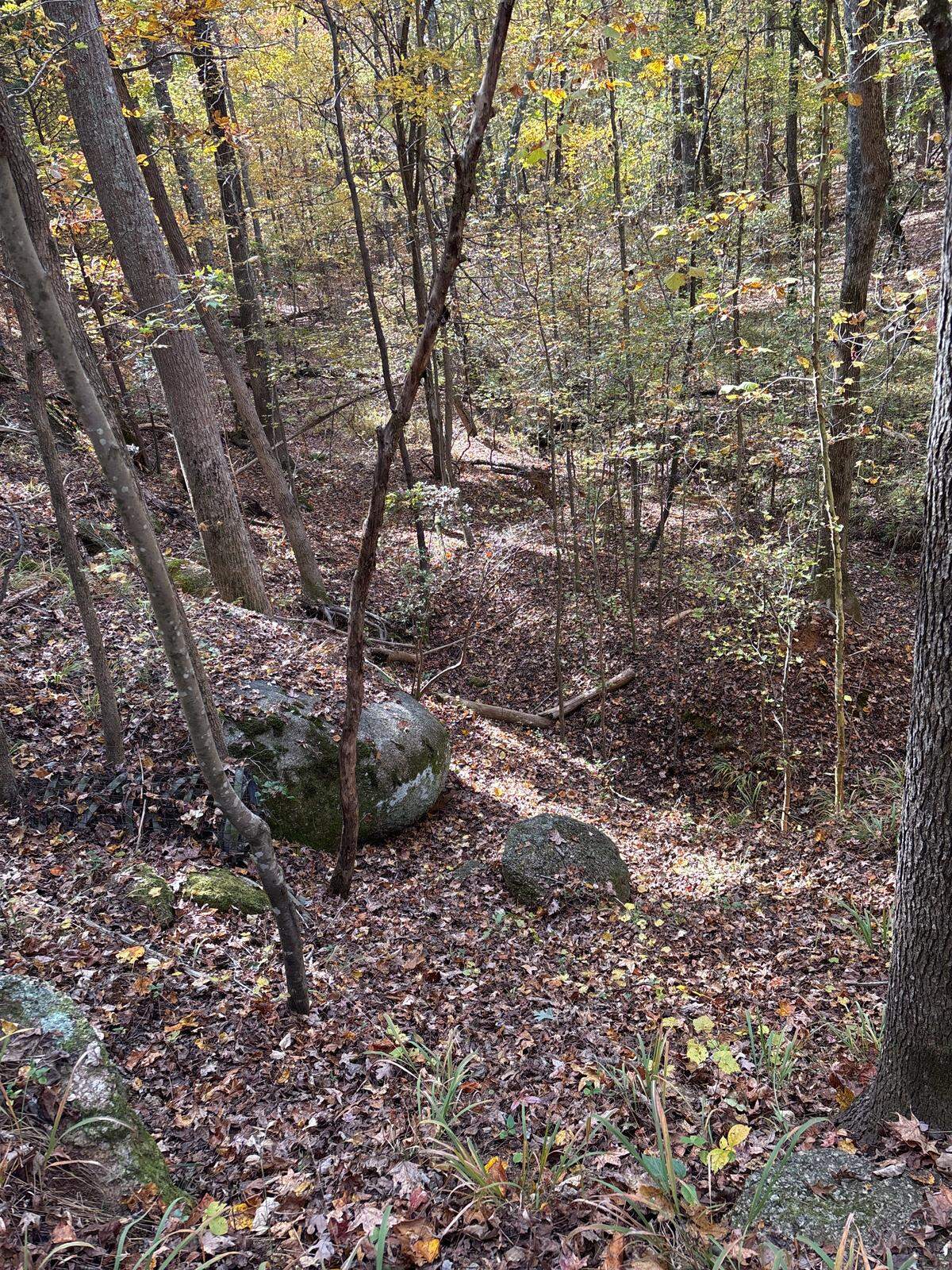 A largely wooded site in Lancaster County was once a battlefield during the Revolutionary War. The property was picked as one of the nation’s most endangered historic sites.