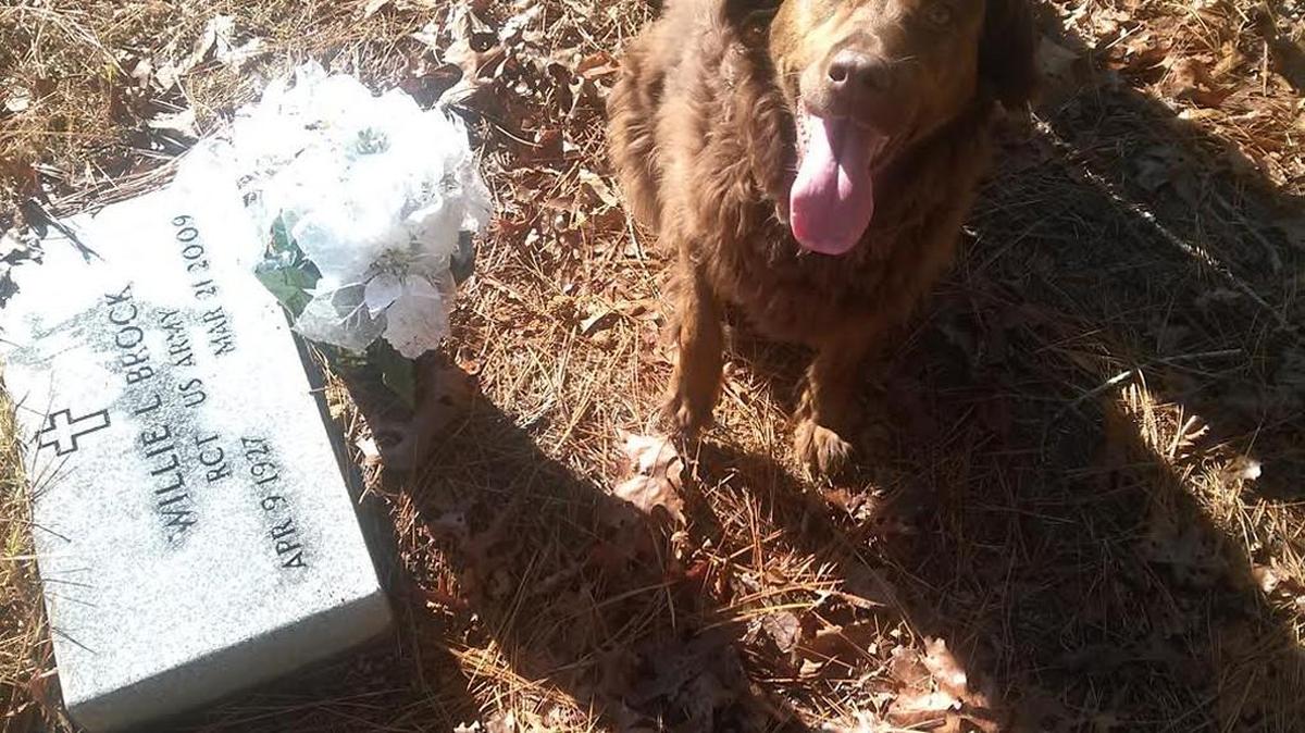 Sandy the dog at Willie Brock’s grave in 2013.