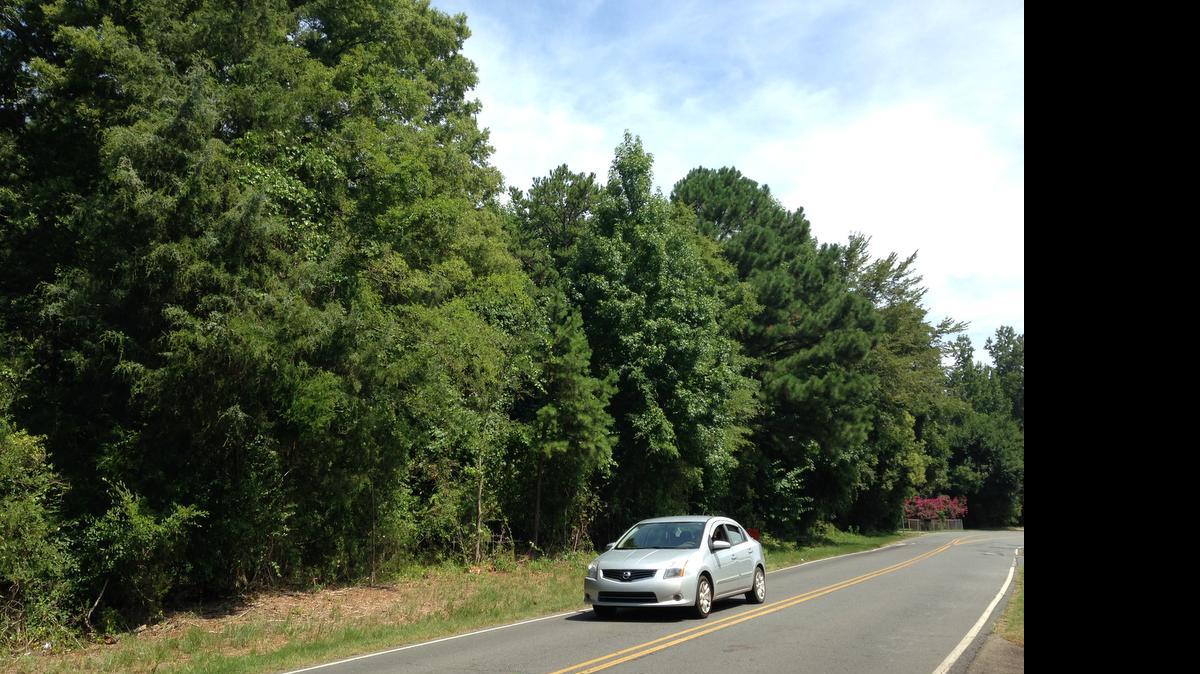 
This wooded stretch of Bird Street, between Anderson Road and University Drive, is where Rock Hill Muslims want to build a cemetery. 
