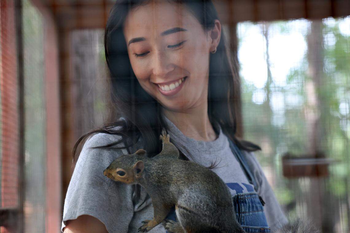 Katherine Rigby interacts with a squirrel in an enclosure at her Fort Mill home earlier this month. Rigby is a co-founder of Nutty By Nature Squirrel Rescue based in Rock Hill.