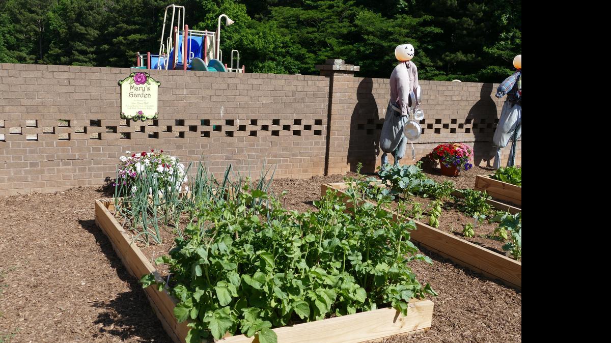 
Colleagues, friends and family members on Tuesday morning dedicated a flower and vegetable garden to Mary Hall, longtime teacher at Rock Hill’s York Road Elementary School.
