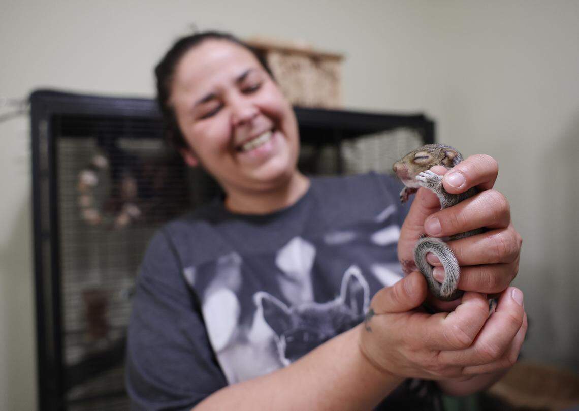 Rhiannon Story holds a days-old squirrel at the Nutty By Nature Squirrel Rescue in early October
