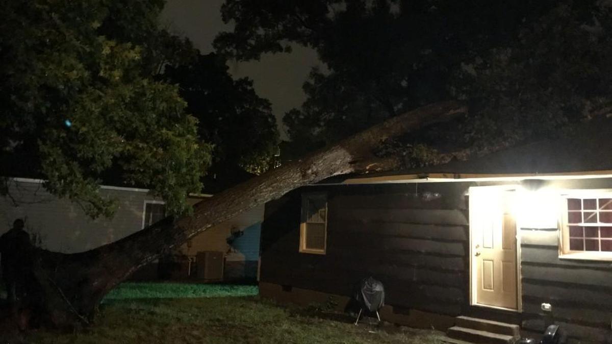 A tree fell on a Rock Hill home on Jefferson Avenue Wednesday night during heavy rain and winds. No one was hurt but three people were displaced.