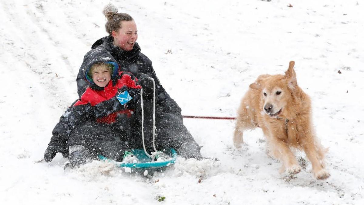In this file photo, Nathan and Alexandria Collett sled down the hill with their dog Koda at Trailhead Park in Tega Cay during a 2018 snow storm.