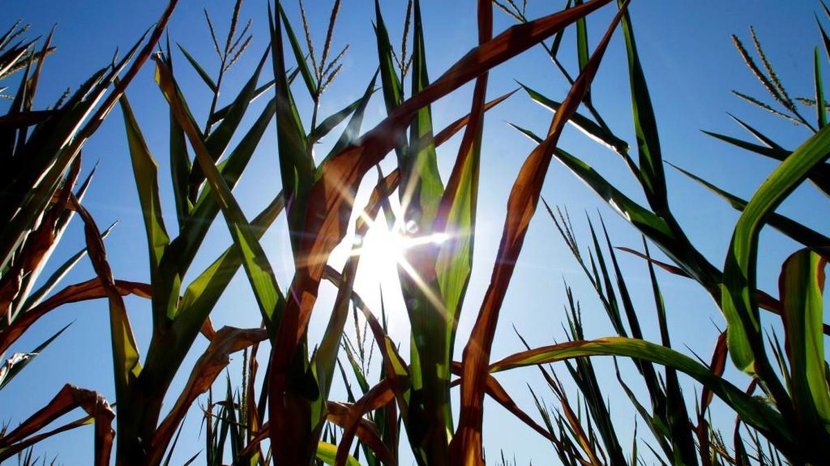 Expect a temporary break from the heat in the Rock Hill area.