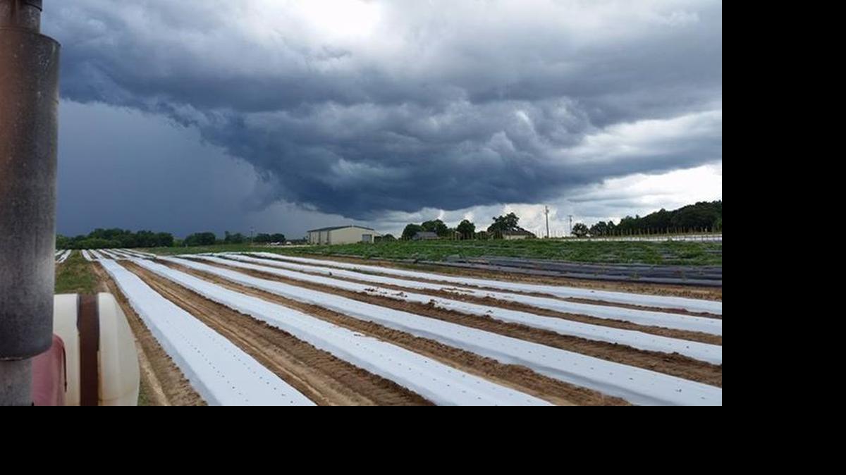 
A storm passes over Cotton Hill Farm Tuesday afternoon in Lowrys.
