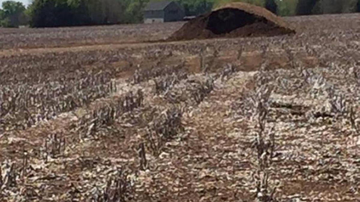 Turkey litter is seen in a cotton field in this photo taken by a neighbor.