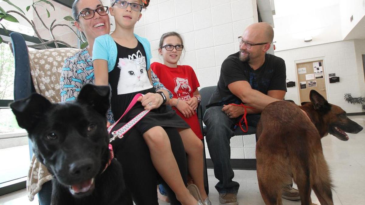 From left, Melissa, Rylee, 7, Alana, 10, and Danny Reeves sit with their new dogs at the York County animal shelter. The family adopted the dogs through the Pets for Vets program, which waves adoption fees for one pet a year for retired or active military members.