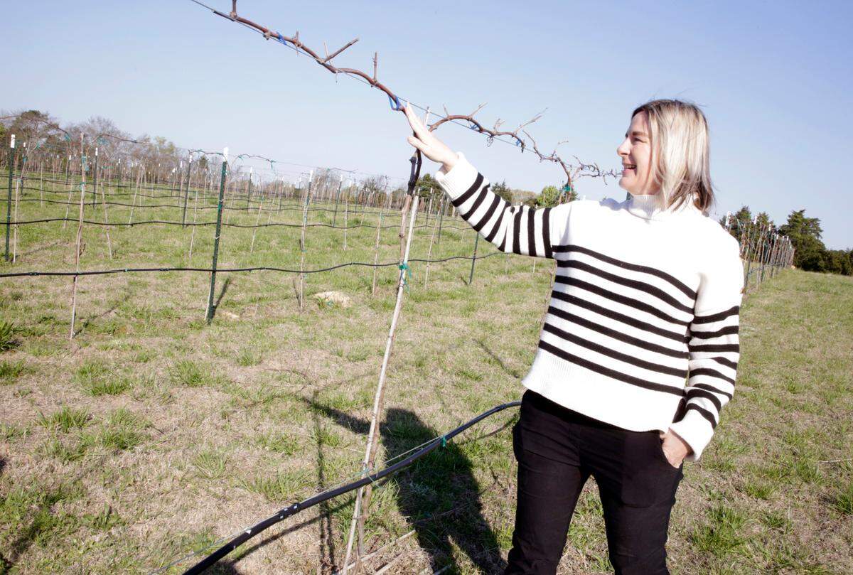 Laurel Haven Estate owner Jenna Bice at her winery in Lancaster County. The county’s first vineyard will open to the public soon.