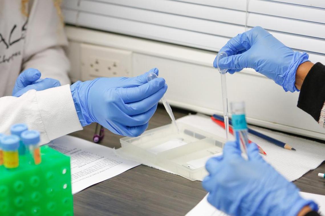 Students put DNA on a slide as a mobile science lab from Greenwood Genetics Center visits South Pointe High School in Rock Hill where AP biology and biology II honors classes complete a lab on determining gene expression profiling Tuesday.