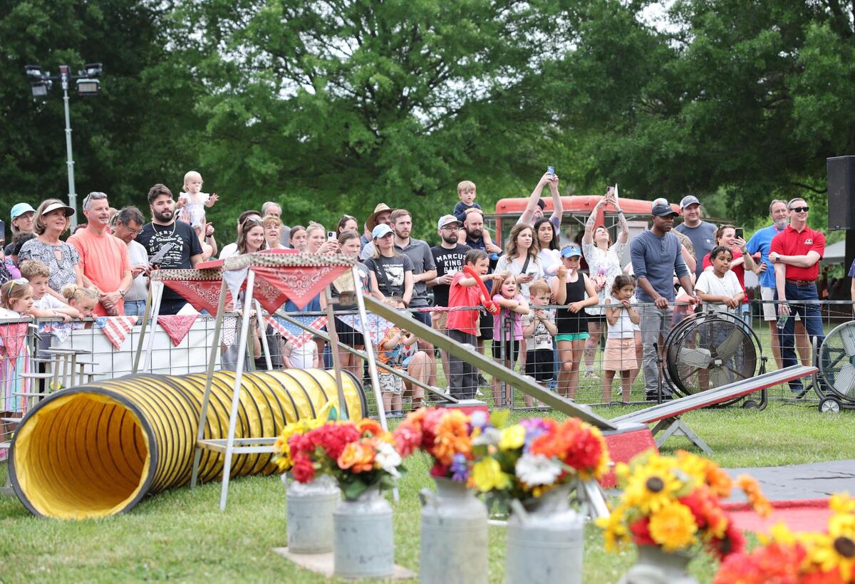 A crowd gathers to watch the Pork Chop Revue Friday at the Strawberry Festival in Fort Mill.