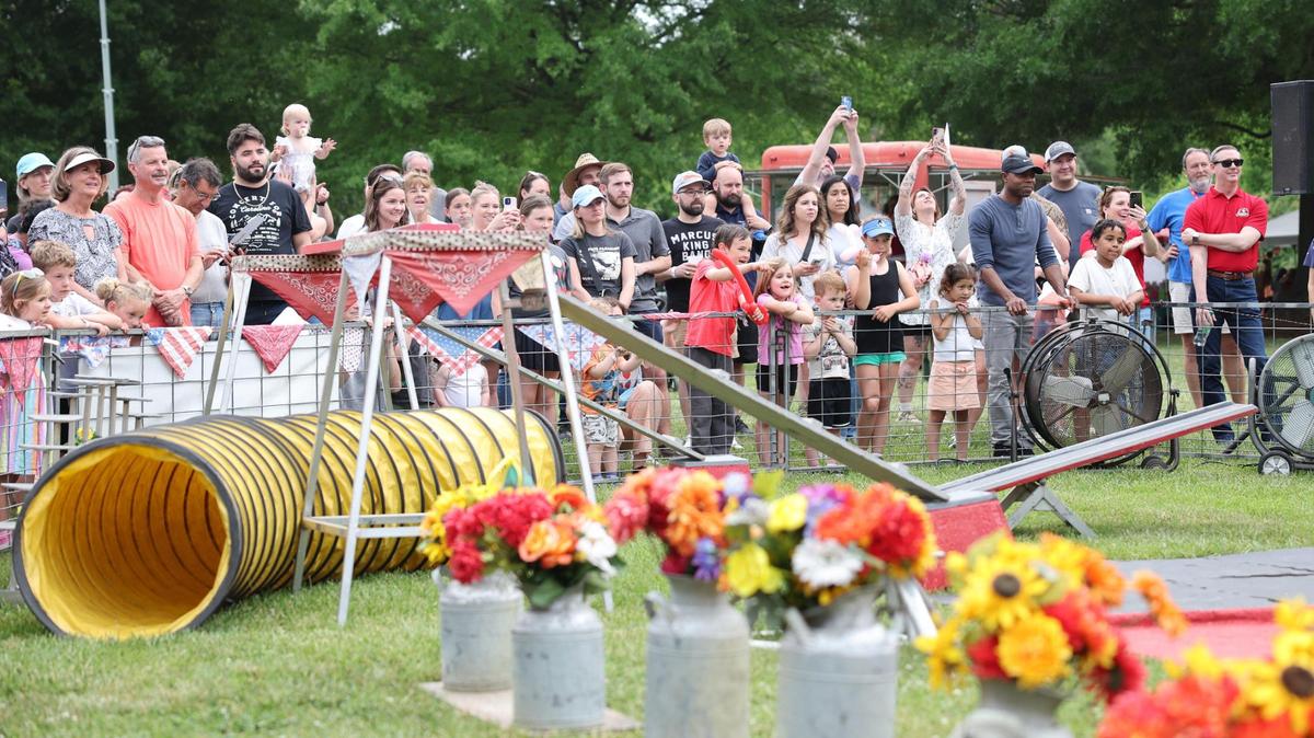 A crowd gathers to watch the Pork Chop Revue at the Strawberry Festival in Fort Mill last fall. South Carolina is the fastest-growing state in the country, according to the U.S. Census Bureau.