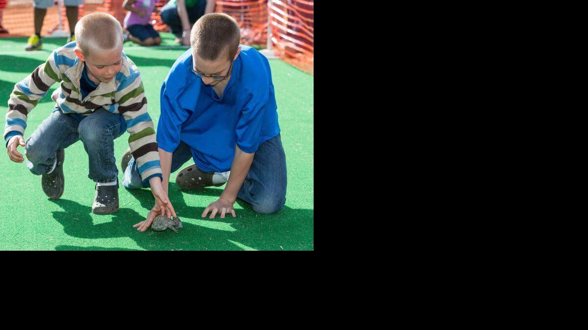 
The Mayor’s Frog Jump brings scads of kids to Cherry Park for Come-See-Me each year. Here, Henry Gregory, left, gets a little help from his brother Richard.
