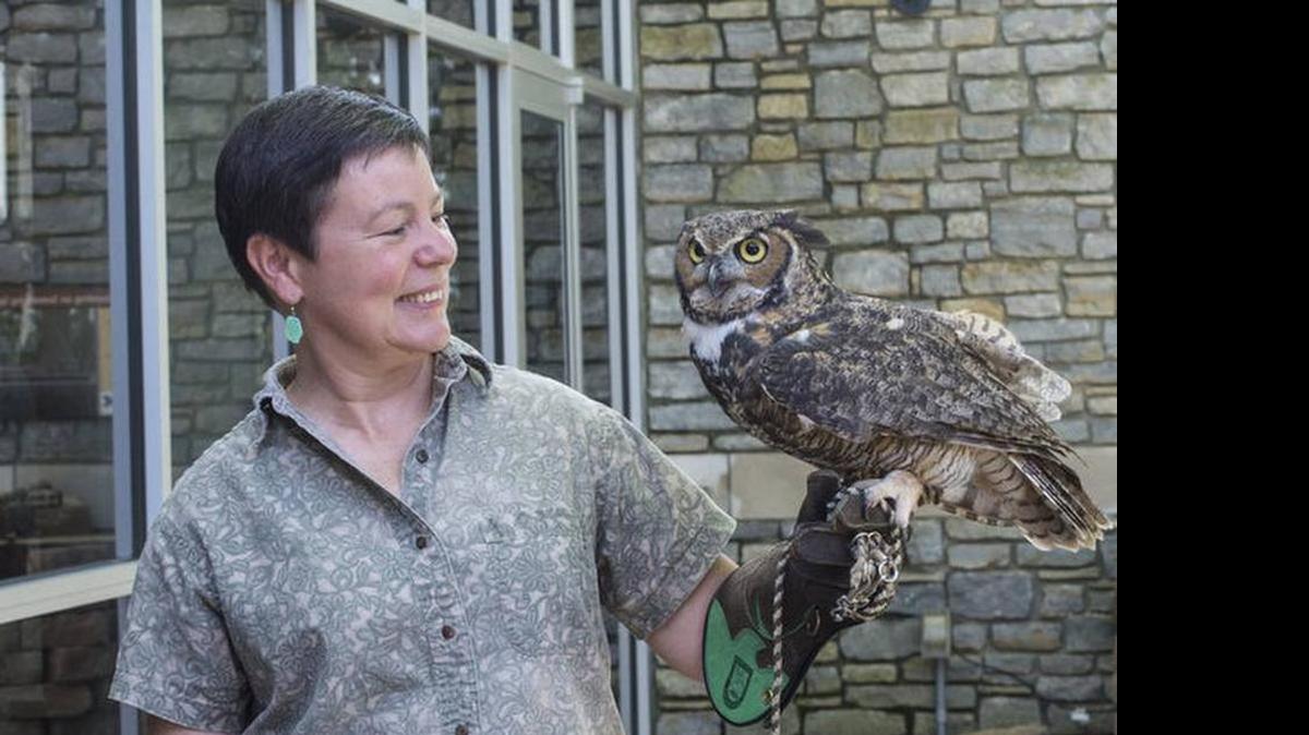 
Laurie Davidson, director of Salato Wildlife Education Center, holds a Great Horned Owl on July 19, 2014.
