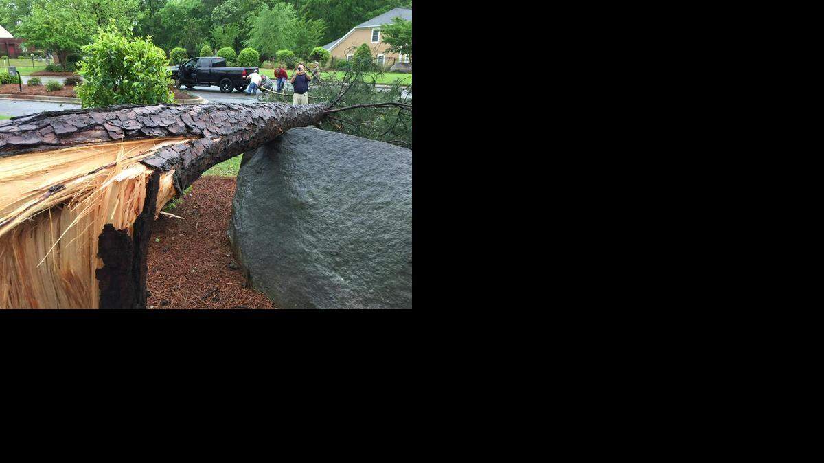 
A downed tree in the Turners Pointe neighborhood on the western side of Lake Murray 
