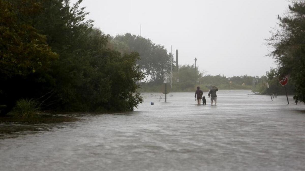 People walk with their dog Oct. 8 as Hurricane Matthew hits Sullivan's Island.