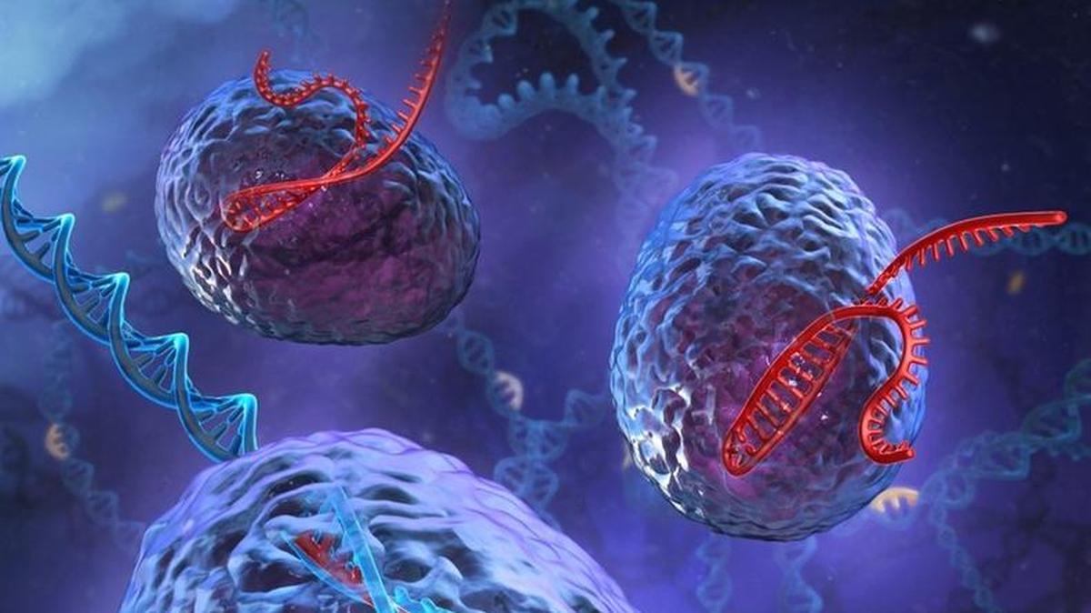 A 3D artist’s rendering of the powerful genome editing tool, CRISPR. Duke scientists used a variation of this gene-editing tool to treat and prevent COVID-19 in mice.