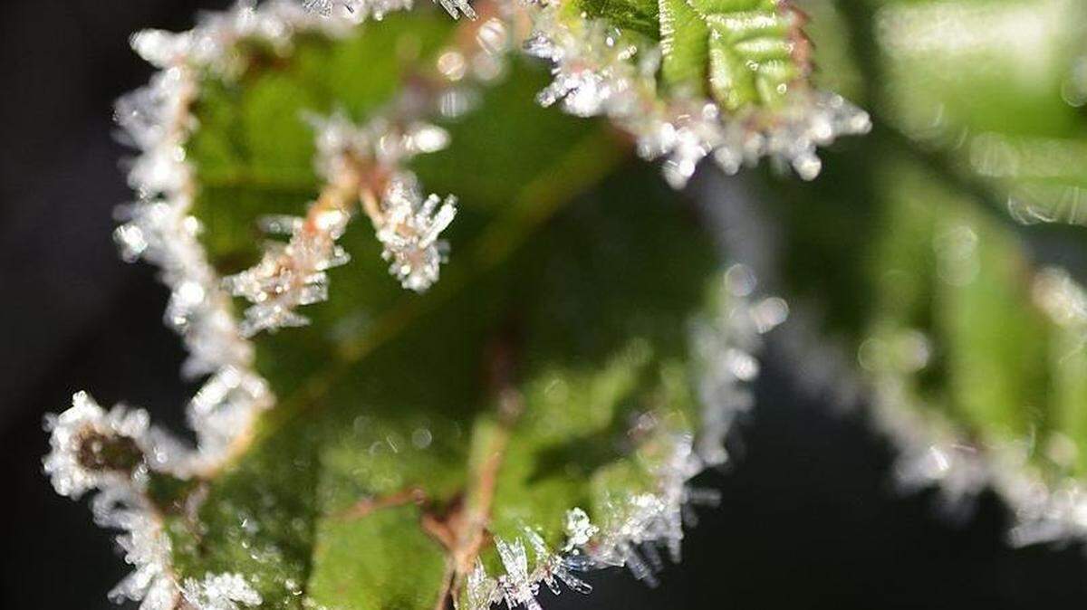 Cold temperatures will come to the Rock Hill region this week.