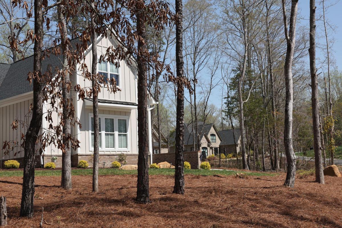 Rise Lane is a dead-end road serving 17 homes in Indian Land. County council debated whether an effort to improve the road is worth taxpayers’ dollars.