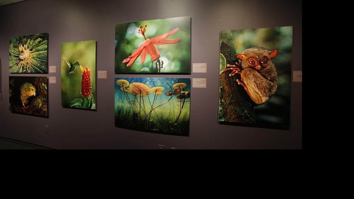 
The Museum of York County
