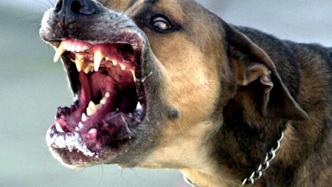 Let’s be realistic about what threatens us