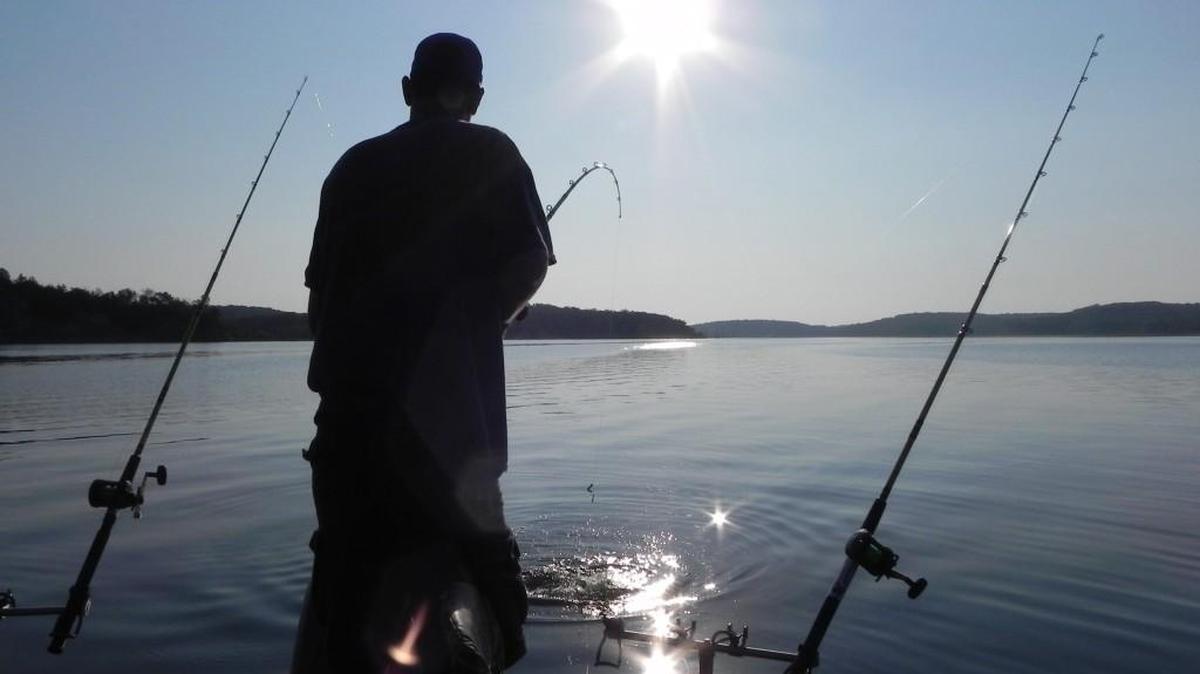 
Jeff Faulkenberry, a guide at Truman Lake, fights a blue catfish during recent fishing trip on a hot summer day. 
