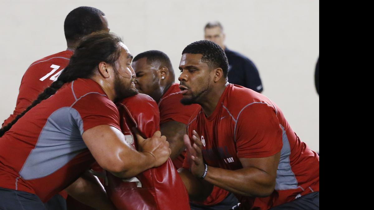 
Oklahoma's Daryl Williams, right, works out opposite teammate Tony Feo, left, for NFL scouts during Oklahoma Pro Day in Norman, Okla., Wednesday, March 11, 2015. 
