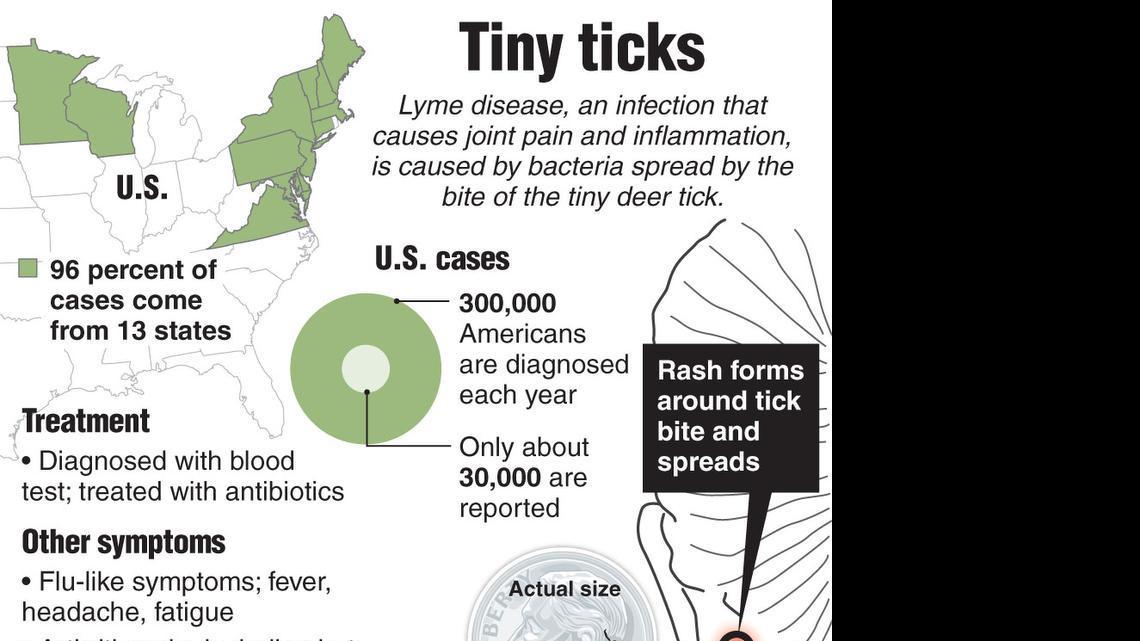 Outdoors column: Dealing with dangerous insects
