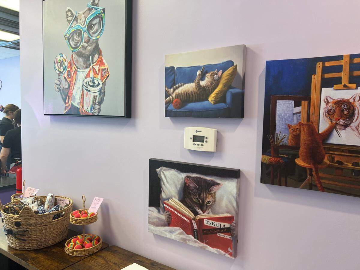 Cat-themed artwork on the walls of the Purrfect Pair Cat Cafe